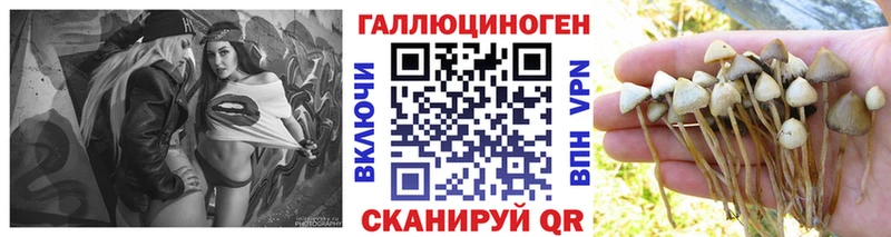 Купить Бор Галлюциногенные грибы ЛСД